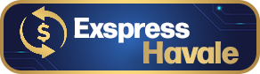 EXPRESS HAVALE